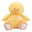 GUND Oh So Snuggly Chick For Discount